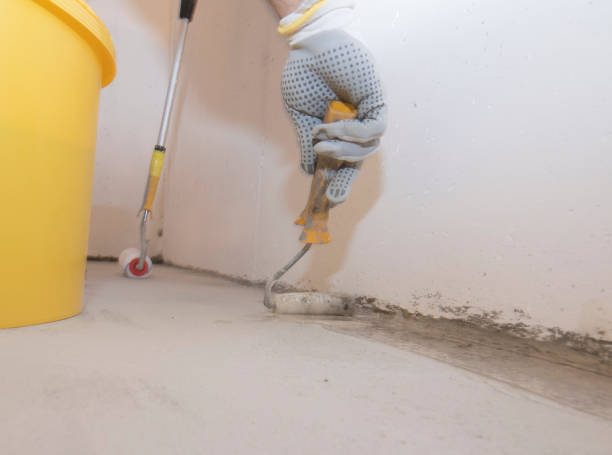 Best Termite Inspection and Treatment  in Ontario, CA